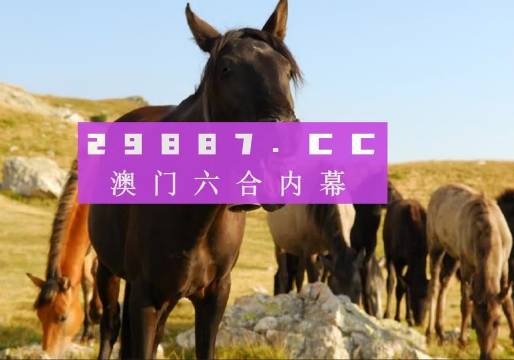 新澳门管家婆免费资料查询—一网打尽最新资讯，澳门管家婆免费资料查询，最新资讯一网打尽