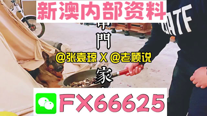 新澳门精准资料大全管家婆料，澳门精准资料大全，管家婆料全解析