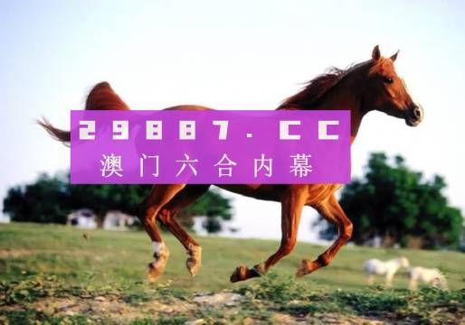 澳门一肖一码伊一特一中—探寻神秘数字的魅力，澳门神秘数字探寻之旅，一肖一码伊一特一中揭秘