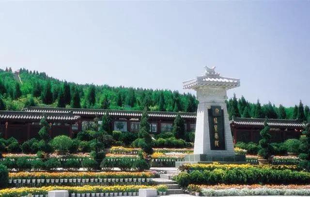 二四六天天免费资料结果，二四六天天免费资料大揭秘