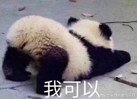 新澳门四不像的真正图片，澳门四不像真实图片揭秘