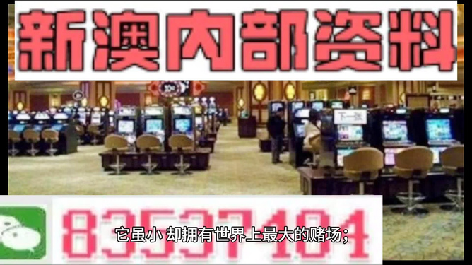 新澳门正版免费大，澳门正版免费大全揭秘