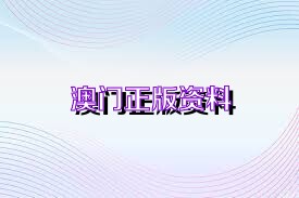 澳门正版免费精准大全，探索未来的数字世界，澳门正版免费精准大全，探索数字世界的未来之旅