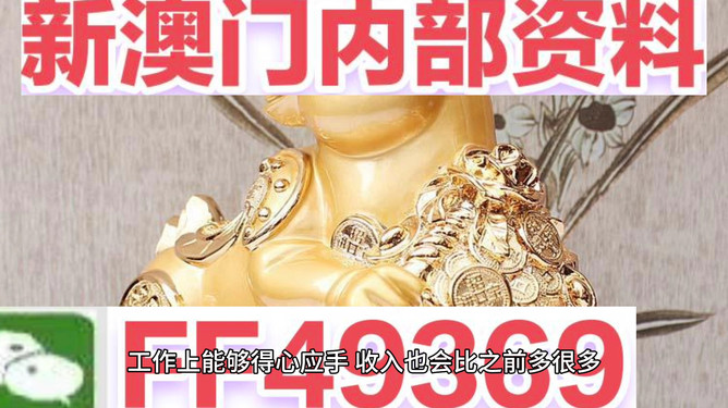 探索澳门魅力，2025澳门精准正版图库之旅，澳门魅力探索之旅，2025精准正版图库之旅