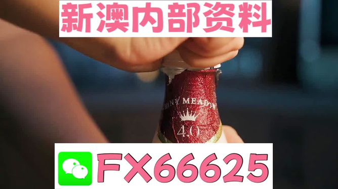 新澳门一码一码100准确，澳门彩票一码精准预测，揭秘准确率背后的秘密