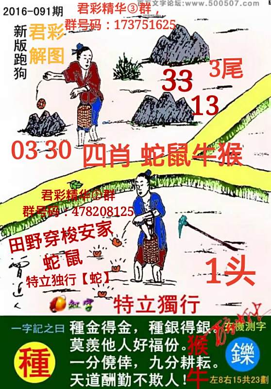 揭秘7777788888精准跑狗图—一网打尽跑狗图真相与奥秘，揭秘精准跑狗图真相与奥秘，一网打尽跑狗图揭秘报告