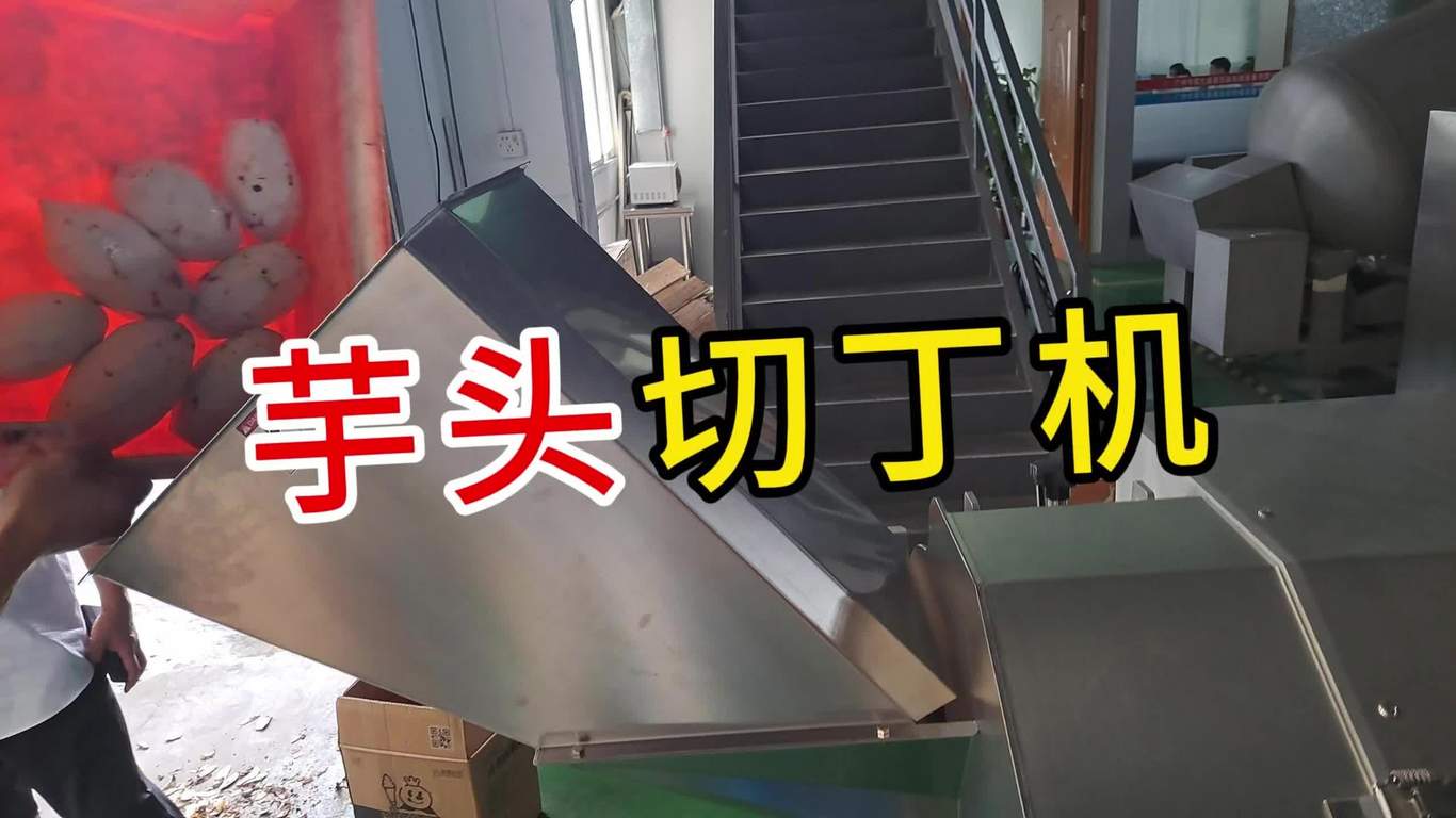 王中王资料大全枓大全正使用教程，王中王资料大全使用教程及指南