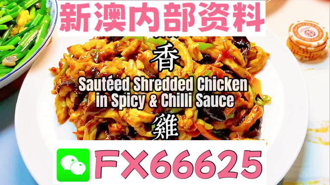 揭秘新奥精准资料免费提供，揭秘新奥精准资料全分享