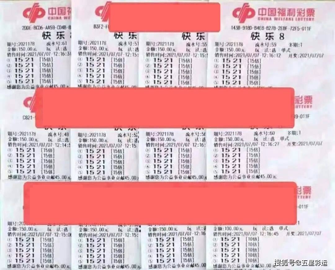 白小姐期期开奖一肖一特，揭秘彩票背后的秘密，揭秘彩票背后的秘密，白小姐期期开奖一肖一特探秘