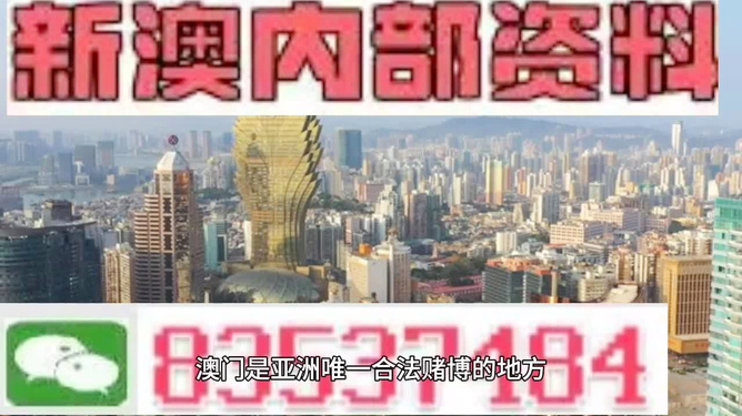 2025年新澳门免费资料大全，探索与发现，澳门未来探索之旅，揭秘2025年免费资料大全