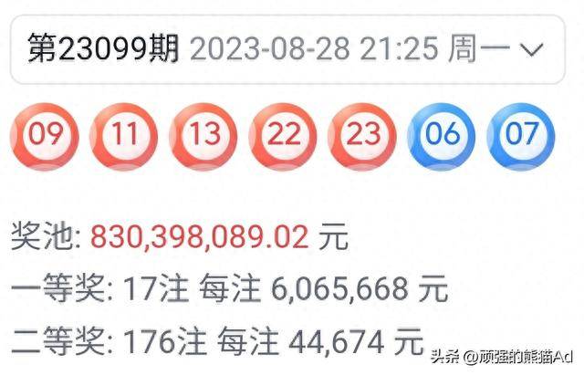 王中王100中特网资料大全，一网打尽，热门资料全解析，王中王特网资料大全，热门资料一网解析