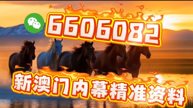 香港精准特马免费资料大揭秘，香港精准特马资料大揭秘，免费资料揭秘独家内幕