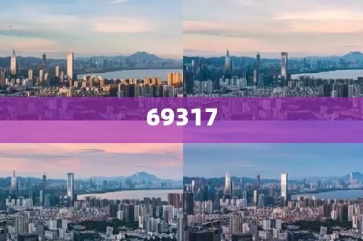 迈向2025，精准资料免费公开，共创知识共享新时代，迈向2025，共创知识共享新时代，精准资料免费公开大行动