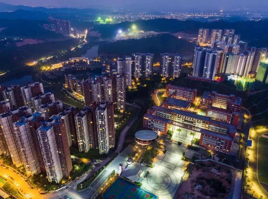 迈向2025，新门正版免费资本的崛起，迈向2025，新门正版免费资本的崛起时代
