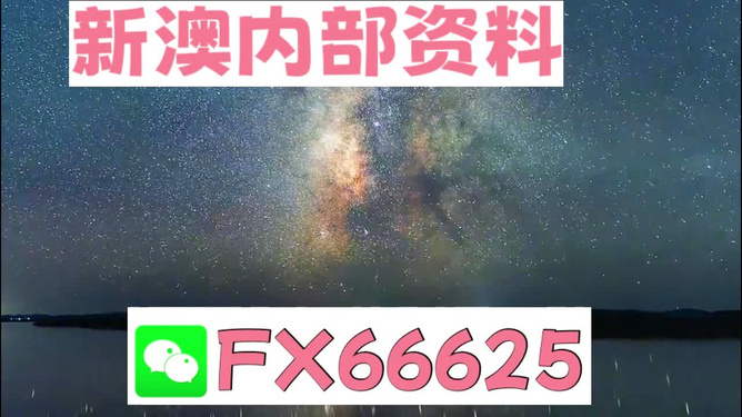 新澳天天开奖资料大全最新53，一网打尽所有开奖信息，新澳天天开奖资料大全，最新开奖信息及历史数据一网打尽