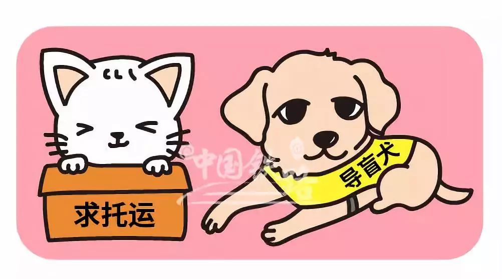 最新资讯 第188页