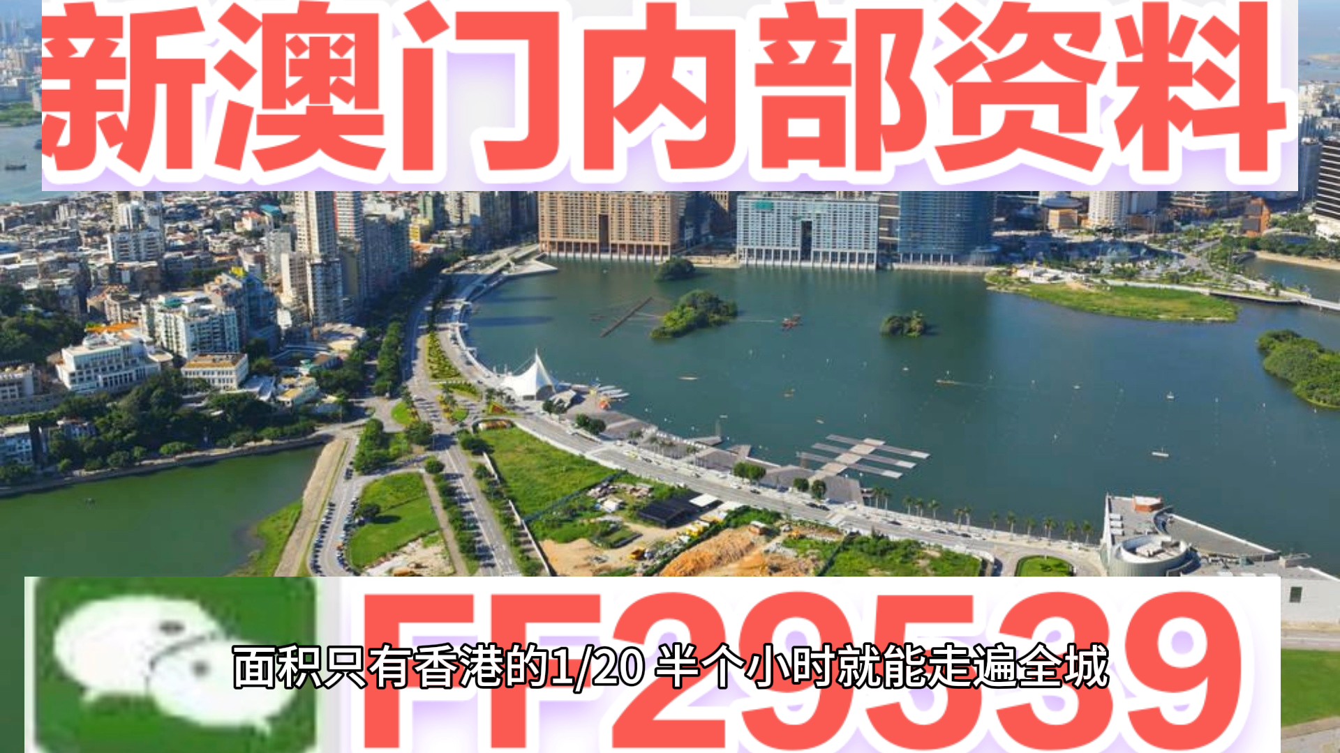 揭秘，2025今晚新澳门开奖号码预测与解析，2023年澳门开奖号码预测与解析揭秘