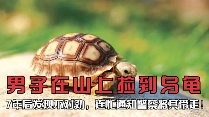 最新资讯 第186页