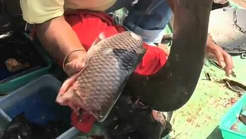 热点生活 第190页