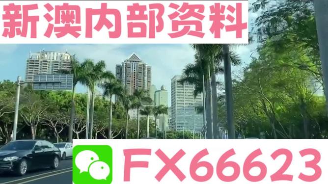 新澳2025年精准正版资料解析，新澳2025年正版资料深度解析