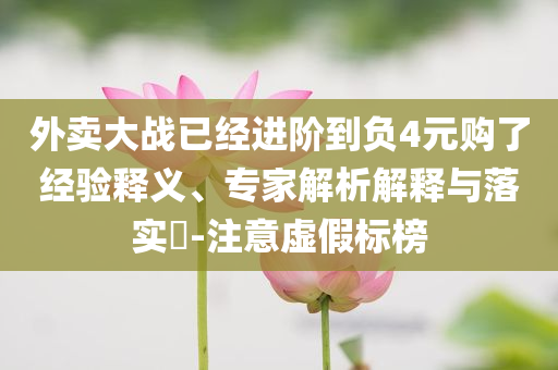 新澳正版全年免费资料 2025，新澳正版全年免费资料大全 2025