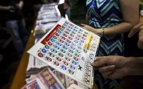 揭秘香港二四六开奖结果及开奖记录，香港二四六开奖结果及记录揭秘