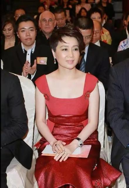 四不像资料免费大全，一网打尽各类资源，四不像资料大全，免费获取各类资源一网打尽