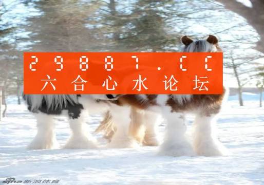 今晚必中一肖一码四不像，揭秘彩票的神秘面纱，揭秘彩票神秘面纱，今晚必中一肖一码四不像