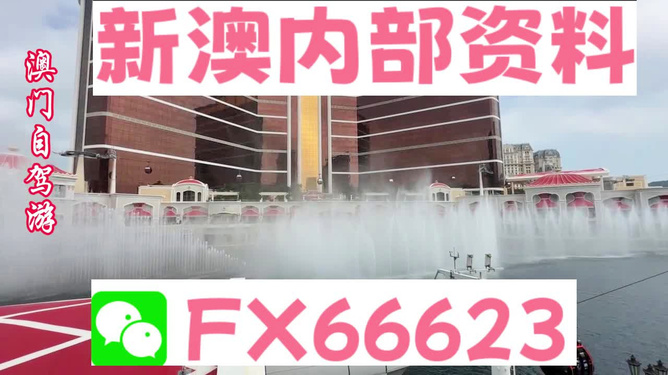 精准新澳门内部一码，揭秘与解读，精准新澳门内部一码揭秘揭秘与解读指南