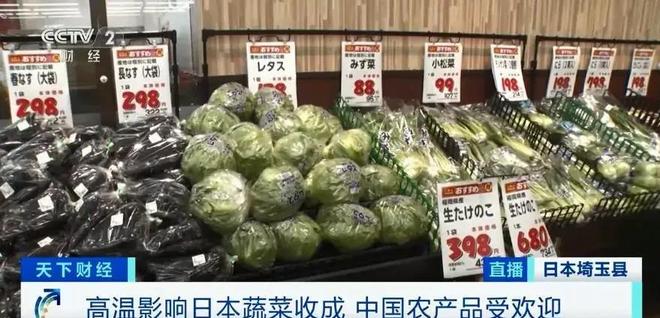 中国蔬菜出口日本