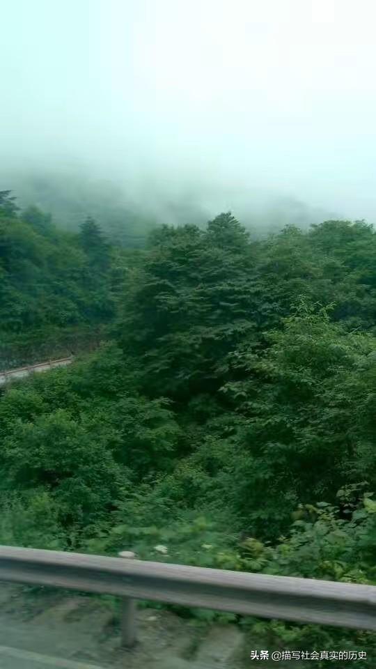 女子登山被猴子