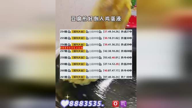 揭秘2025年新澳开奖结果，揭秘，2025新澳开奖结果大公开