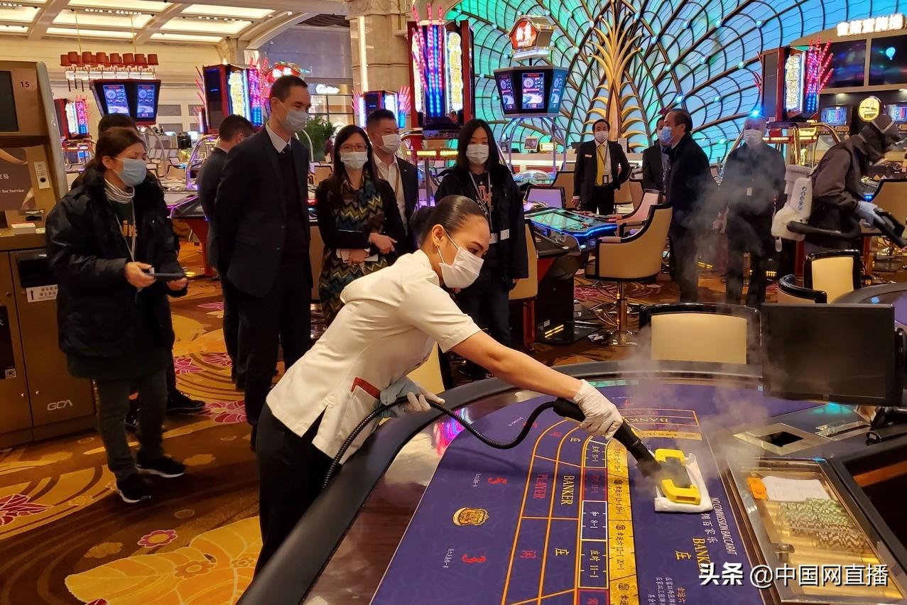 澳门政府官方网站的发展与影响力解析，澳门政府官方网站的发展与影响力深度解析