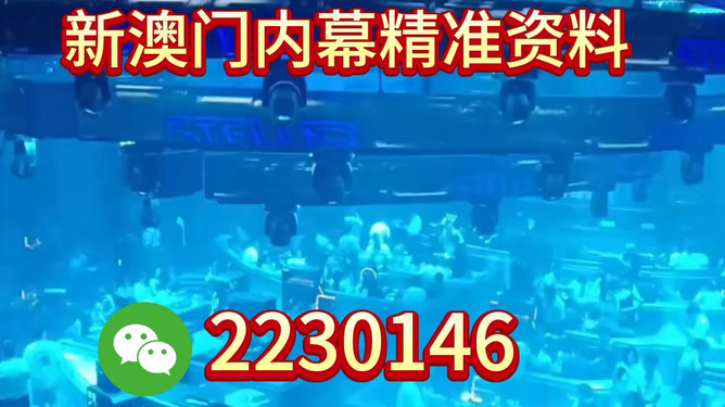 揭秘，204年新奥今晚开启的神秘盛宴，揭秘，新奥神秘盛宴即将于今晚开启！