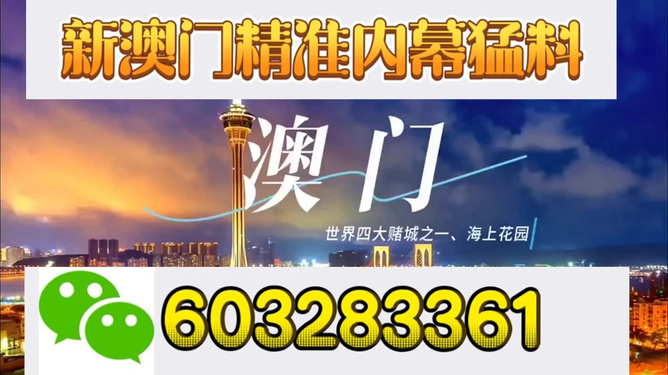 澳门今晚开特马+开奖结果，澳门今晚特马开奖结果揭晓