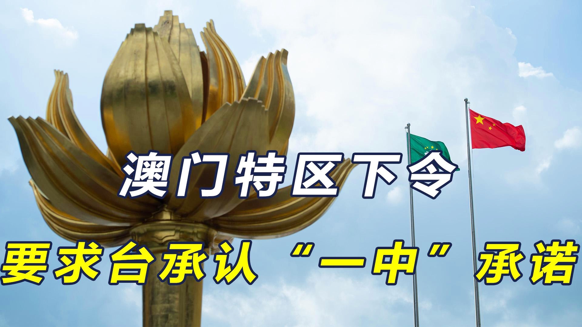 澳门一码一肖一特一中直播结果，澳门直播结果揭晓，一码一肖一特一中特辑