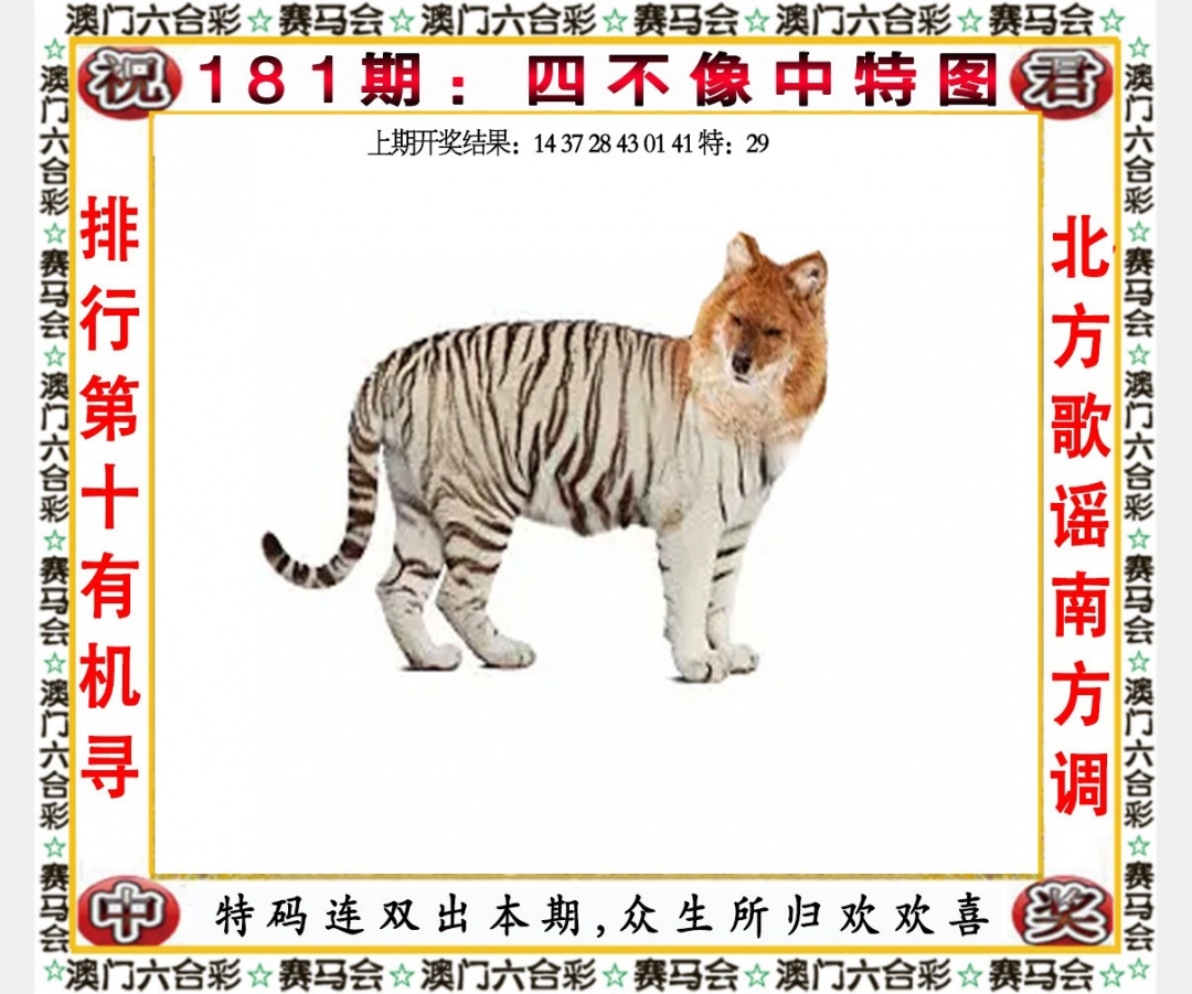 新澳正版全年免费资料2025，新澳正版全年免费资料大全（2025版）