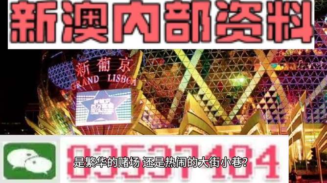 新澳精准资料，探索与解读，新澳精准资料，深度探索与解读