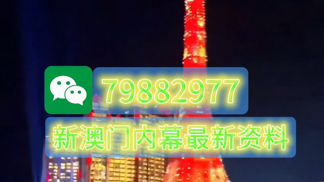 2025澳门特马今晚开奖165，澳门特马今晚开奖结果揭晓，幸运号码为165