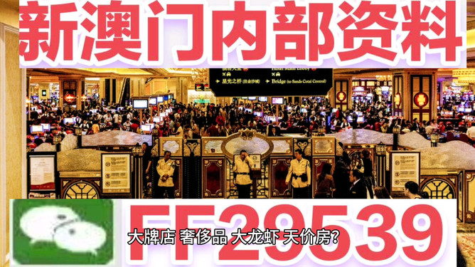 揭秘4949澳门今晚开奖，热门网络语言解读彩票魅力，揭秘澳门彩票魅力，今晚开奖与热门网络语言解读彩票背后的故事