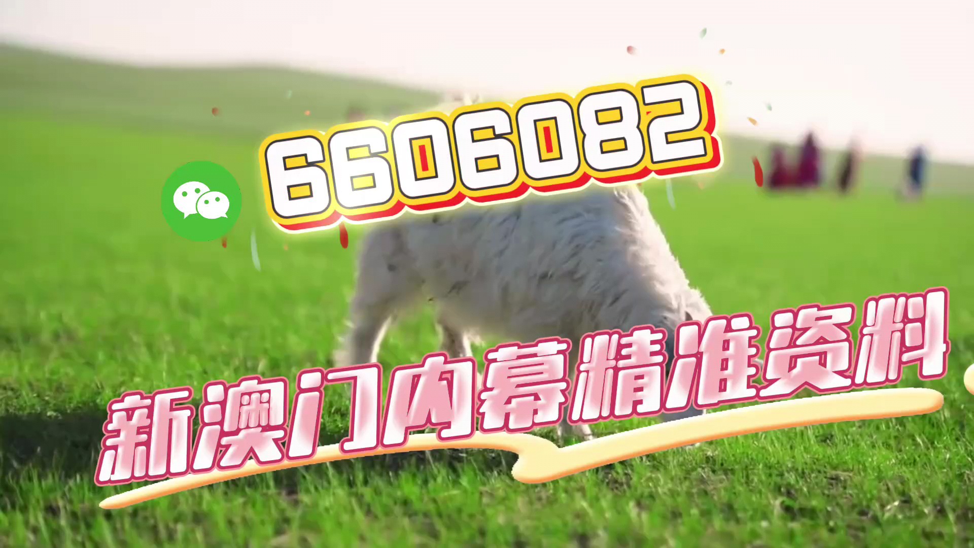 今晚龙门精准一肖一码，今晚龙门精准一肖一码揭晓