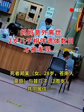 男子遇五步蛇和竹叶青打架被误伤