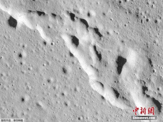 2025最全免费资料大全，2025最新免费资料大全，一站式获取资源平台