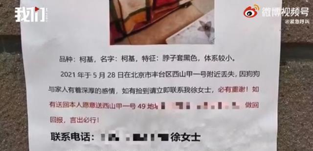 女子悬赏上海一套房寻子：6代单传
