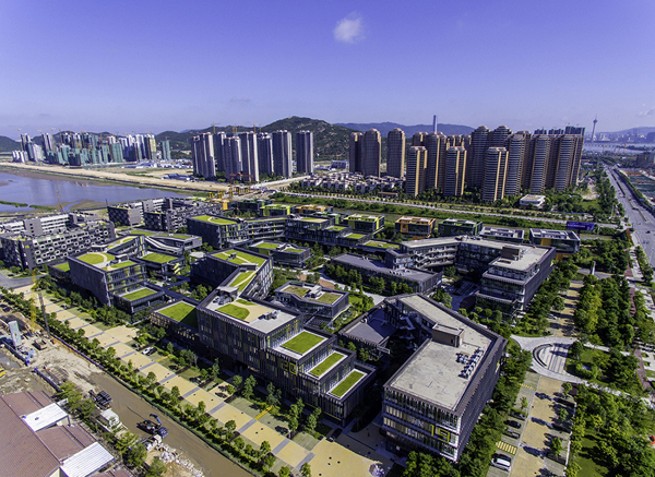 探索未来，2025芳草地新澳门网站的新视界，探索未来视界，澳门新视界网站展望2025年展望新篇章