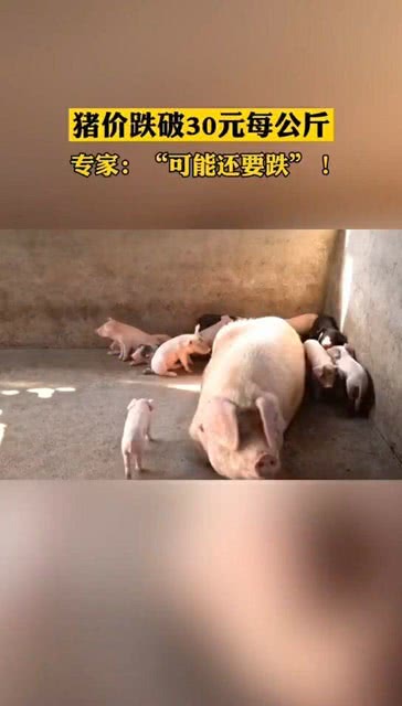 最新资讯 第156页