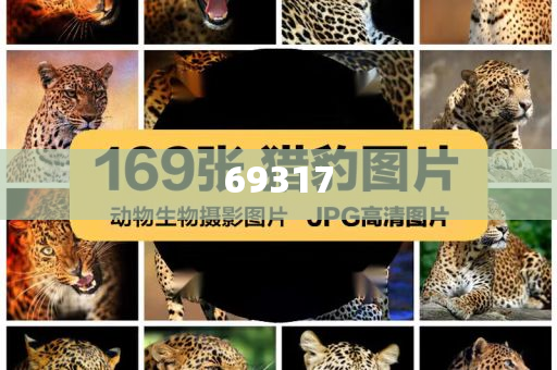2025精准资料免费公开，2025精准资料免费公开大放送