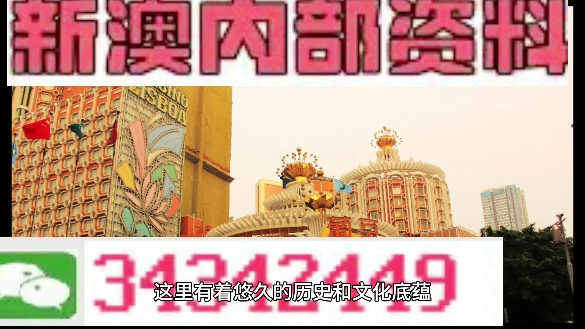 新澳门资料大全正版资料下载，澳门正版资料大全，全新内容下载