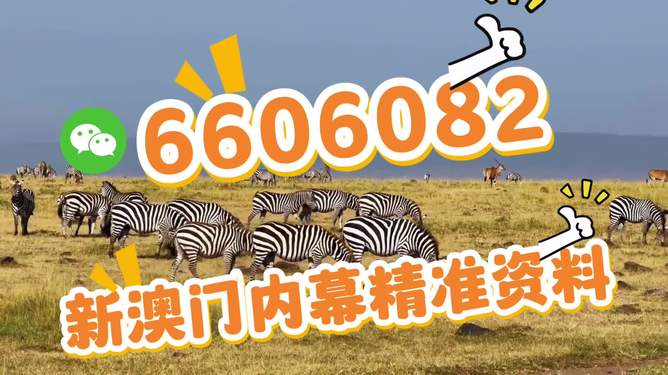 今晚澳门特马开的什么号码，澳门特马今晚开奖号码揭晓