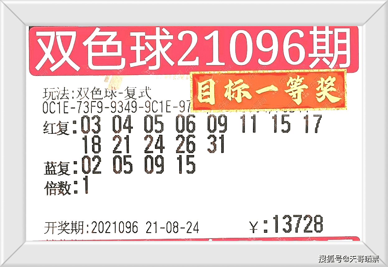 揭秘澳门特马今晚开码趋势，展望2025，澳门特马未来趋势揭秘，今晚开码展望与未来展望（澳门特马）